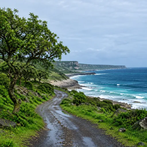 Dhofar After the Rain: Salalah's Quiet Winter Season and the Frankincense Coast